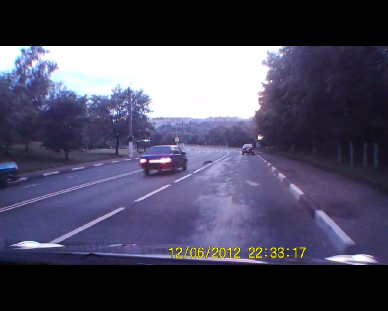 Imaginile care demonstreaza ca pisicile au noua vieti. VIDEO INCREDIBIL