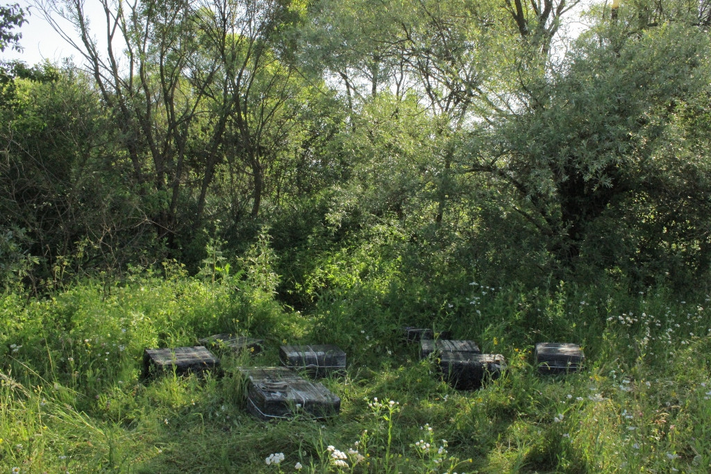Mii de pachete de tigari de contrabanda au fost retinute la granita cu Ucraina