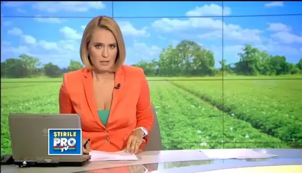 Nu vin niciodata bauti la serviciu si nu fura. Tot mai multi patroni prefera sa angajeze detinuti