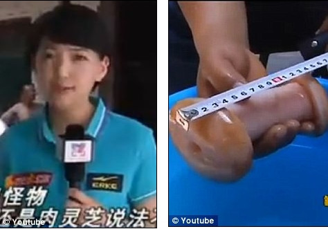 VIDEO. Gafa colosala a unei reportere. Cu ce a confundat o jucarie sexuala