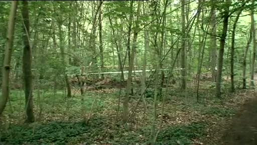 Caz horror in Franta: moartea unui bebelus a dus la uciderea parintilor lui