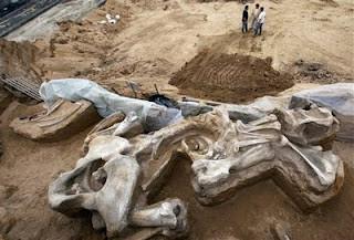 Arheologii din Serbia au descoperit primul cimitir comun din lume al unei turme de mamuti