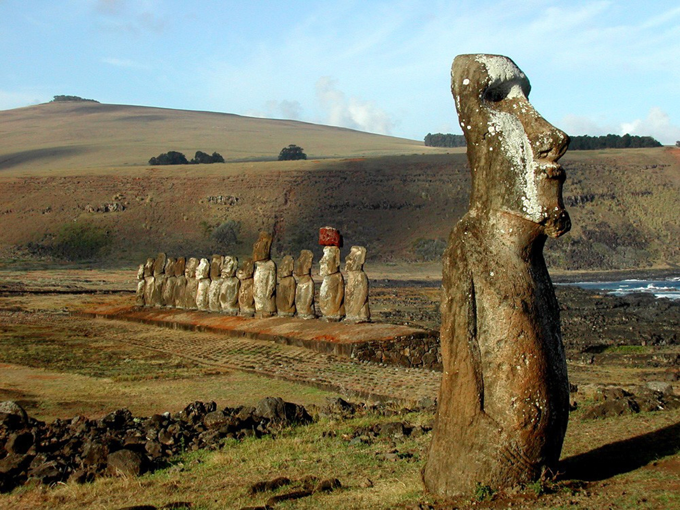 Studiu: Cum au ajuns celebrele statui gigant Moai pe Insula Pastelui