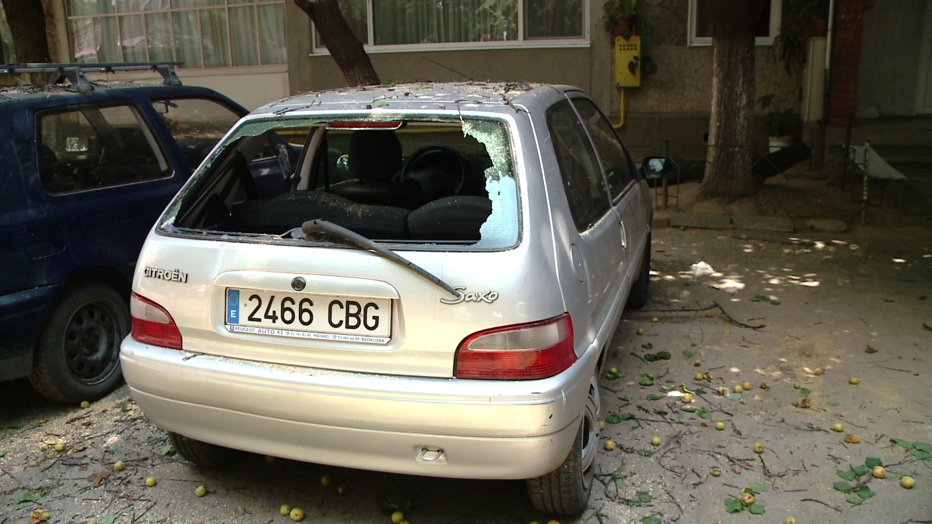 Un pom plin cu caise s-a rupt din cauza rodului si a cazut peste doua masini