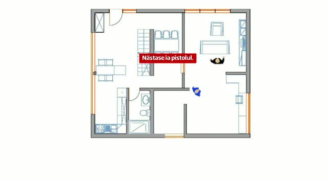 RECONSTITUIRE. Ce s-a intamplat in resedinta lui Adrian Nastase, inainte de tentativa de sinucidere