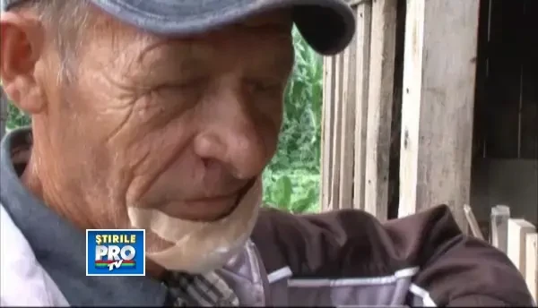 Un barbat de 59 de ani din judetul Satu Mare a fost la un pas sa fie mutilat pe viata de o iapa