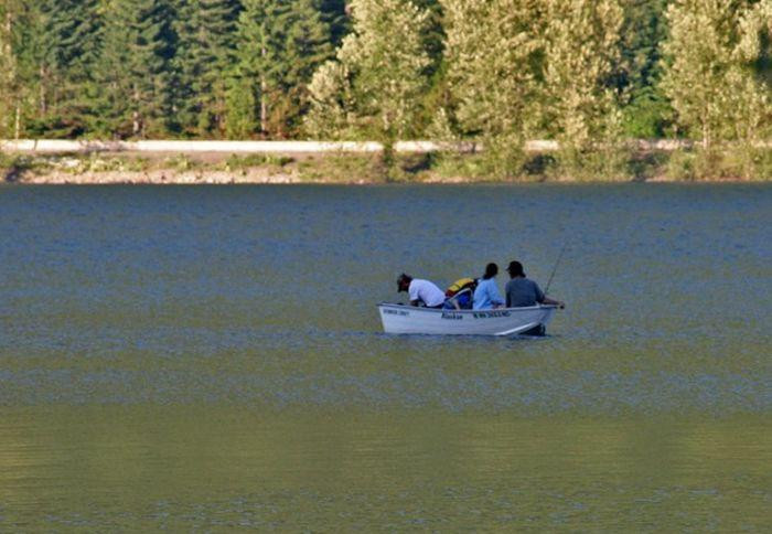 Imagini impresionante: Milioane de libelule, fotografiate de pescari langa Romania