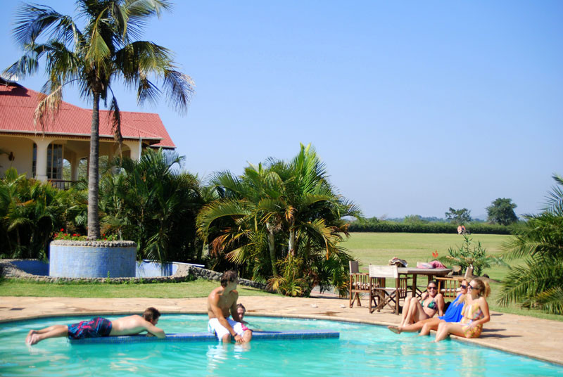 Ultimul lucru pe care te-ai astepta sa-l gasesti intr-o piscina. Surpriza pentru oaspetii unui club