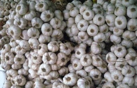 Hotii din tara lui Dracula nu se tem de usturoi. Austriecii i-au prins cu 9,5 tone furate