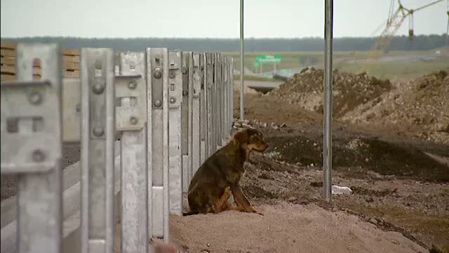 Autostrada Bucuresti-Ploiesti - de la "Pe 30 iunie va fi gata", la "Siguri nu putem fi niciodata"