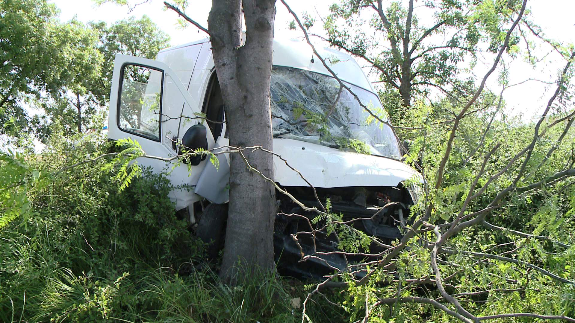 Accident cu doua victime la iesirea din Timisoara spre Sacalaz. O masina a intrat intr-un pom