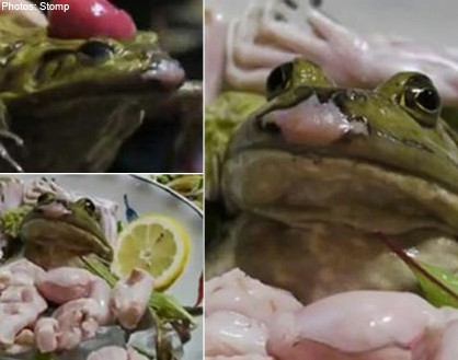 Japonezii uimesc din nou Planeta. Au inventat mancarea care te priveste din farfurie. VIDEO SOCANT