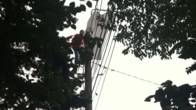 Protestul de pe stalp, langa Cotroceni, la a treia editie.Sarbatoritul Nicu n-a cedat usor nici acum