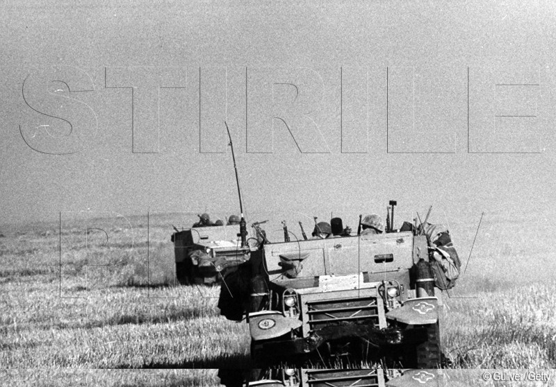 Galerie FOTO. Ultimele imagini surprinse de un fotograf. A platit pretul suprem pentru aceste poze