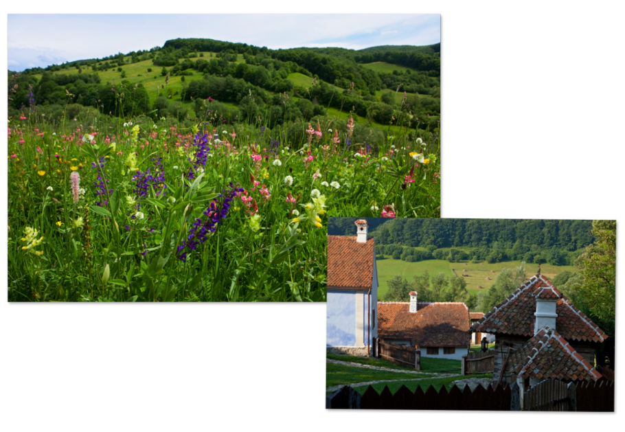 Au fost votate "Cele mai frumoase 10 proprietati private din lume". Romania apare in TOP!