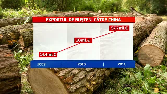 Romania trimite saptamanal sute de tone de lemn in China, care se intorc sub forma de mobila ieftina