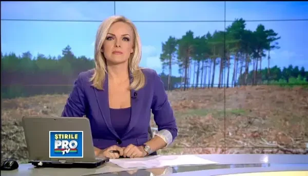 Romania trimite saptamanal sute de tone de lemn in China, care se intorc sub forma de mobila ieftina