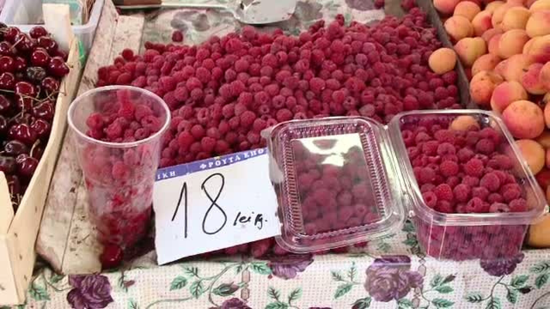 Intermediarii si preturile de lux pentru fructele de padure. Taranii nu-si recupereaza investitia