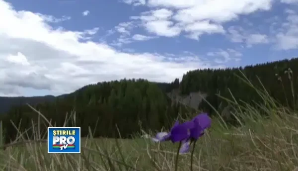 Comoara fructelor nobile de care Romania isi bate joc. Cum ratam anual sute de milioane de euro