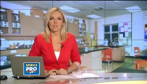 Intr-o Romanie fara mesteri, scolile profesionale au fost reintroduse. Nemtii au luat initiativa