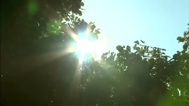 Record de temperatura maxima in ultimii 100 de ani, inregistrat la Moscova