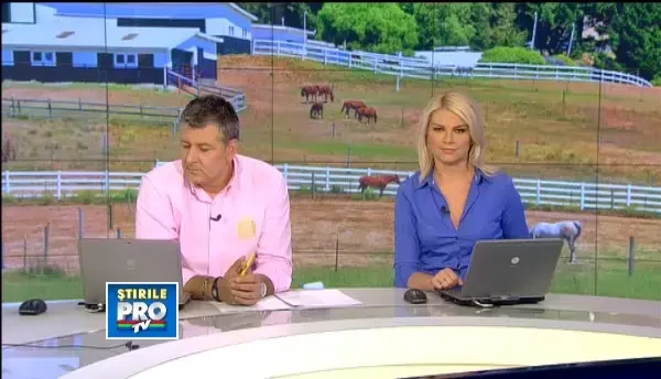 Exista un inger al cailor. AFLA cum arata o zi din viata lui