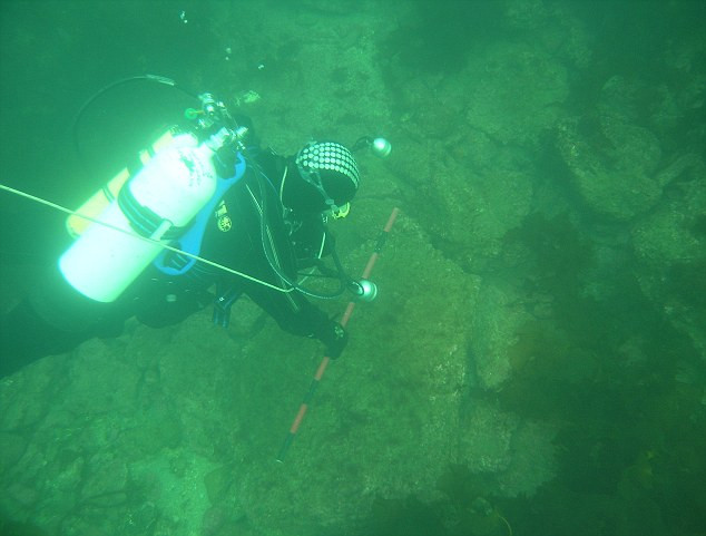 Descoperire spectaculoasa pe fundul Marii Nordului. "Banuiam ca acest taram exista acum mii de ani"