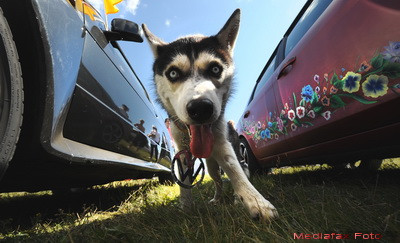 4 mld de euro au incheiat 7 ani de scandaluri intre doua dintre cele mai puternice familii din lume