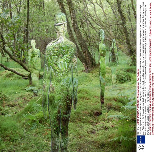 Imaginile pe care NU AI VREA sa le vezi cand te plimbi singur prin padure! Cum arata sculpturile oglindite! GALERIE FOTO