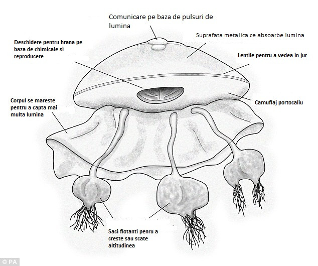Un renumit savant: extraterestrii probabil exista si arata ca niste meduze uriase