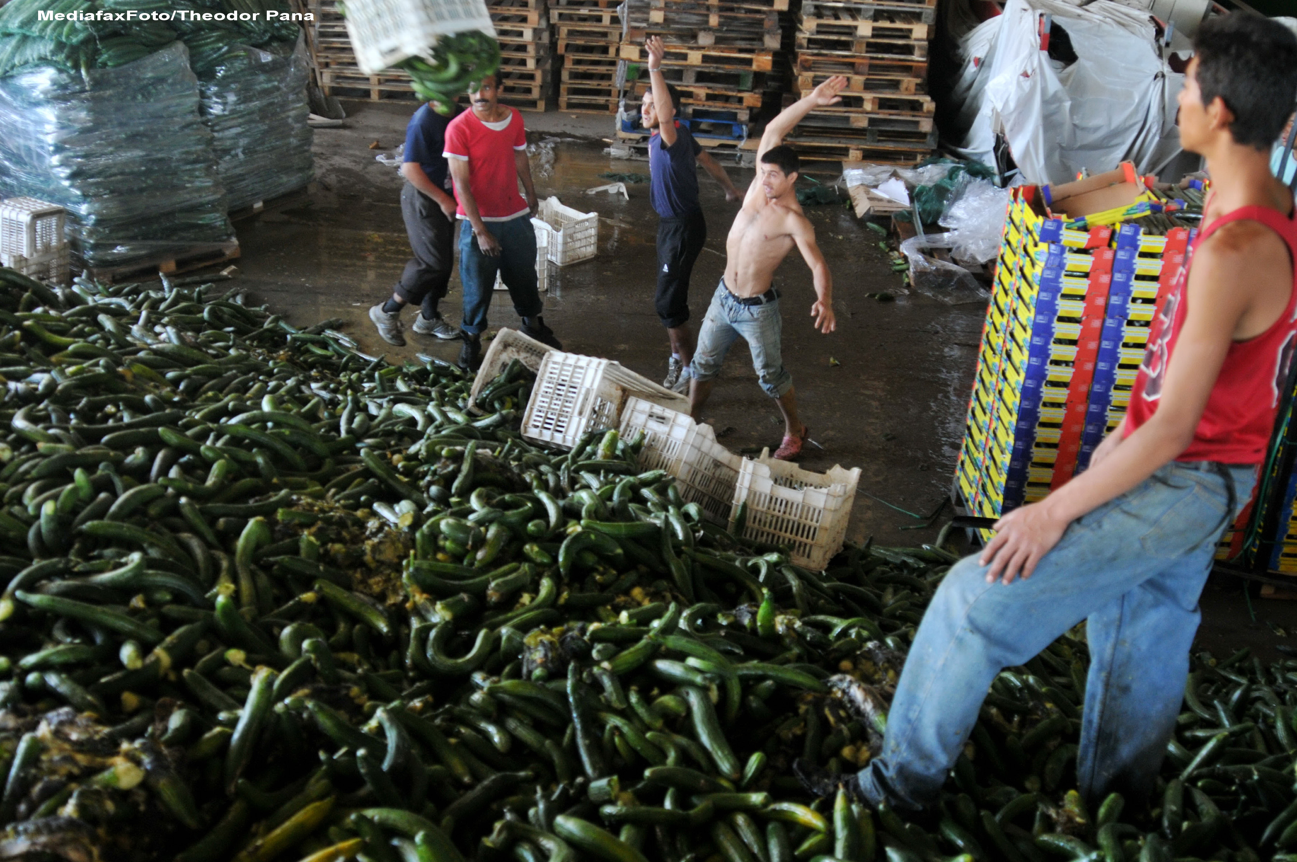 Campanie Pro TV. Traseul legumelor pentru care noi platim si DE 10 ORI mai mult decat pretul real