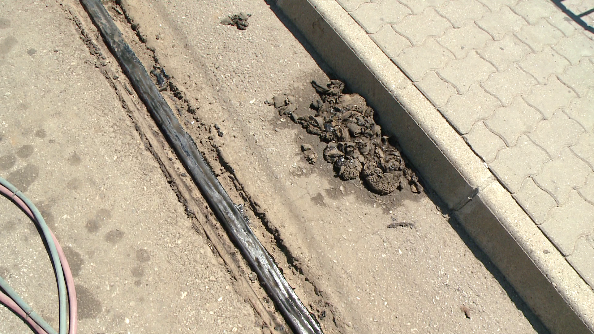 Canicula afecteaza circulatia tramvaielor la Timisoara. Vezi aici ce modificari au survenit