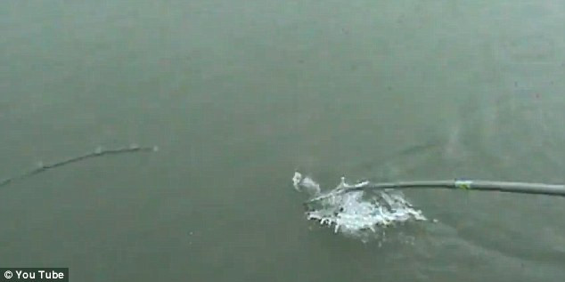 Surpriza aproape fatala pentru o tanara la pescuit. Ce s-a intamplat cand si-a scos captura din apa