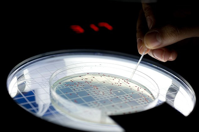 Hunedoara:Bacteria care a provocat moartea bebelusilor nu a fost gasita in probele luate din spital