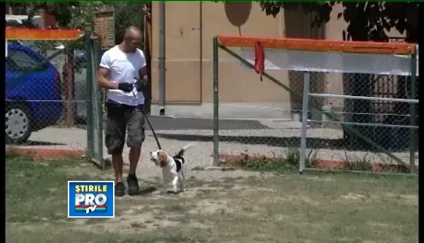 Lectie de dresaj. Recompensa, mama invataturii