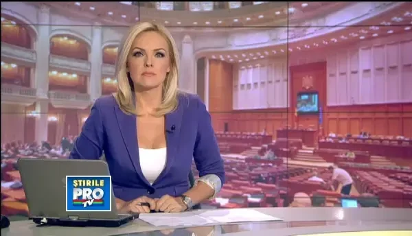 Parlamentul, chemat din vacanta sa salveze imaginea si locul tarii in Uniunea Europeana