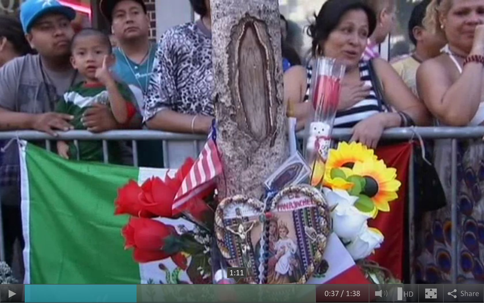 "Miracol" in New York. Imaginea Fecioarei Maria ar fi aparut pe trunchiul unui copac. VIDEO