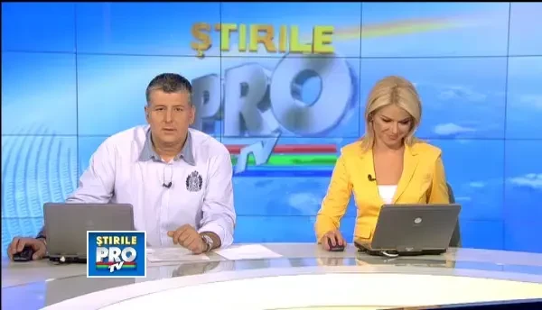 Un roman a descoperit retele secretele dupa care isi prepareau culorile Van Gogh si Rembrandt