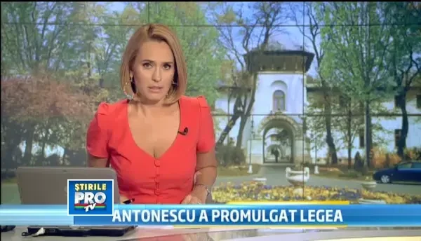 Traian Basescu se va intoarce la Cotoceni daca referendumul nu este validat din cauza absenteismului