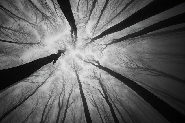 Imagini incredibile care arata frumsetea padurilor din Romania. FOTO