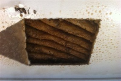 Descoperirea socanta facuta de un cuplu in tavanul casei. Ce au vazut dupa ce s-au uitat mai atent