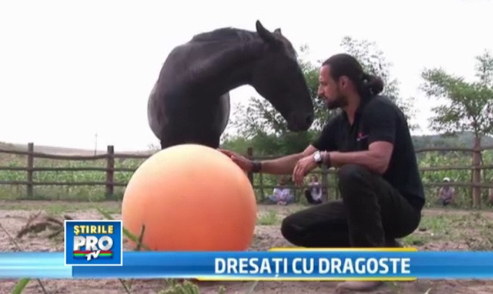 Lectie de dragoste data la Herghelia Caii lupilor, unde sunt aduse animale salvate de la eutanasiere