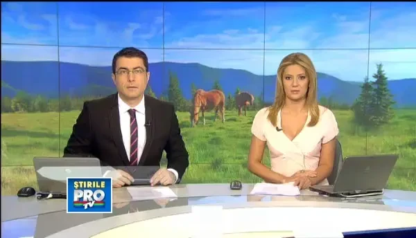 Lectie de dragoste data la Herghelia Caii lupilor, unde sunt aduse animale salvate de la eutanasiere