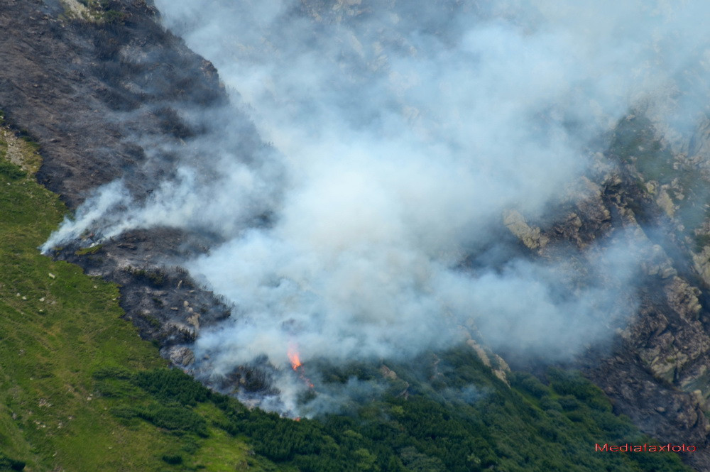 Incendiile au facut scrum zeci de hectare de padure din trei masive muntoase din Brasov si Arges