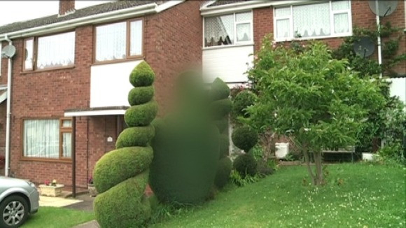 Un barbat din Marea Britanie are probleme cu autoritatile din cauza unui tufis din gradina. FOTO