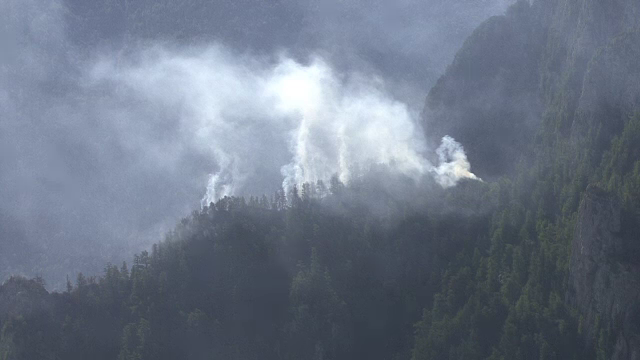 Arde padurea, iar autoritatile se piaptana. De ce nu s-au ridicat toate elicopterele de interventie