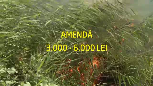 Expertii cred ca incendiile de vegetatie din Delta Vacaresti au fost puse intentionat