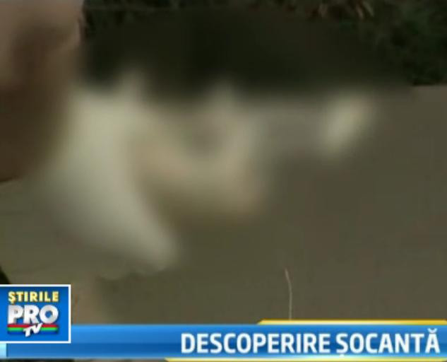 Descoperire terifianta in Muntii Urali din Rusia. Un pescar a gasit aproape 250 de embrioni umani