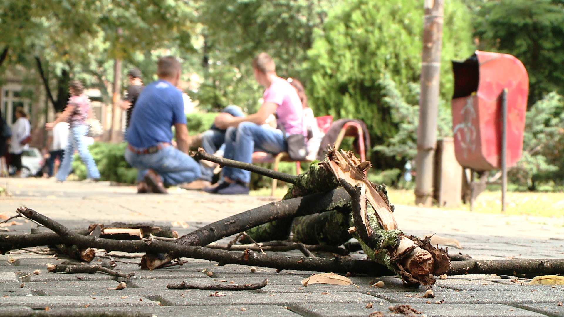 O femeie din Timisoara a ajuns la spital dupa ce a fost lovita in cap de o creanga desprinsa din pom