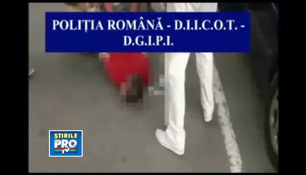 2.800 de euro pentru 257 de grame de cannabis. Trei tineri au fost retinuti pentru trafic de droguri